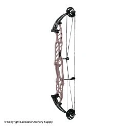 Hoyt Stratos 40 Compound Target Bow (HBT) -Lancasterarchery Shop 1032812 pink