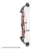 Hoyt Stratos 40 Compound Target Bow (HBT) 2 Hoyt Stratos 40 Compound Target Bow (HBT) -Lancasterarchery Shop 1032812 red