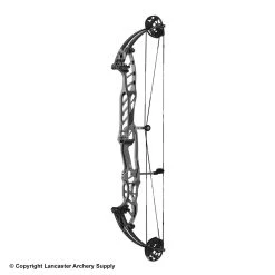 Hoyt Stratos 40 Compound Target Bow (HBT) -Lancasterarchery Shop 1032812 slate