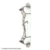 Bear Archery 2020 Bear Status EKO Compound Bow -Lancasterarchery Shop 1360271 alpine