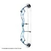2020 Bowtech Reckoning 38 Target Compound Bow (Premium Colors) -Lancasterarchery Shop 1530192 blue