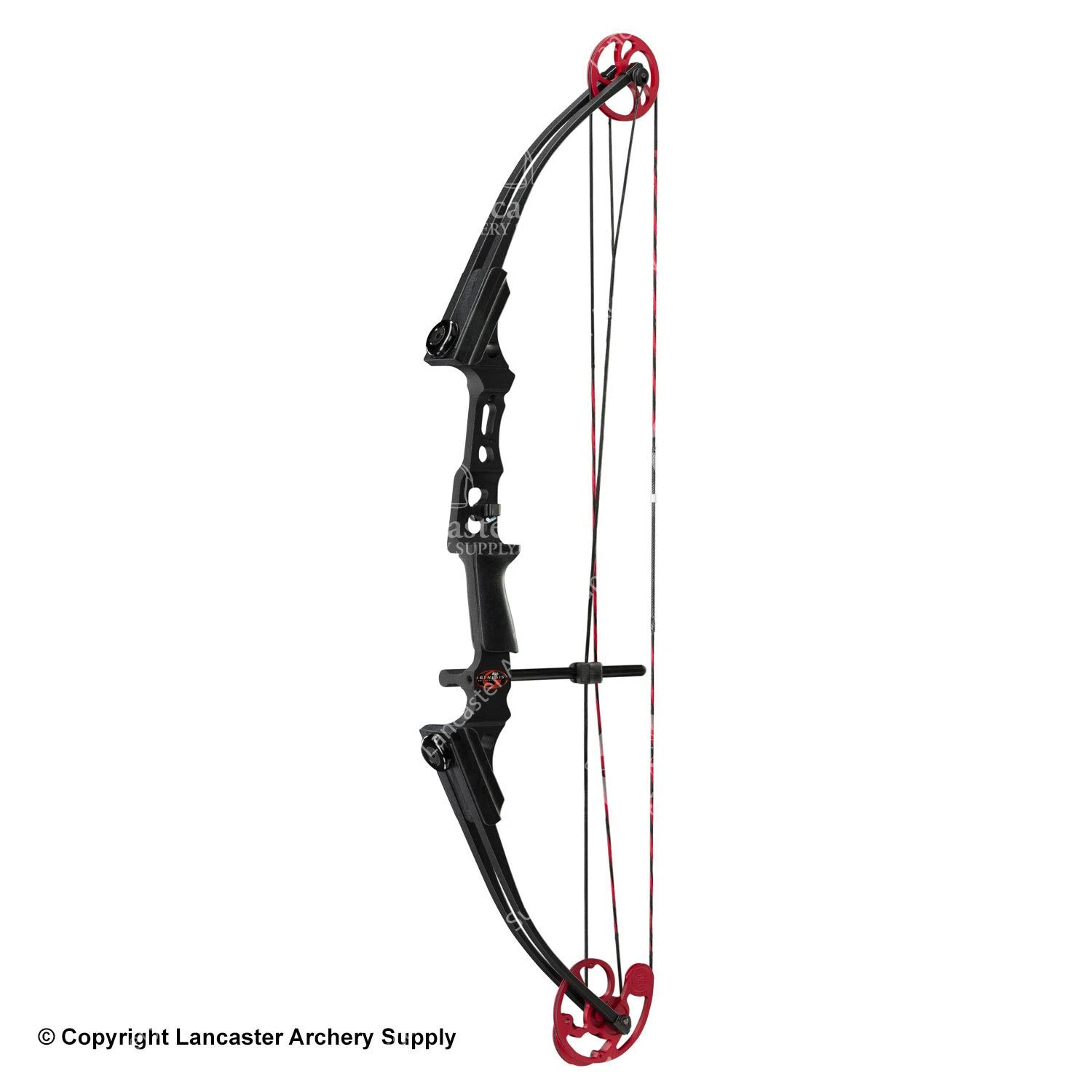 Genesis® Archery Genesis Archery Mini Genesis Bow (Colors) 3 Genesis® Archery Genesis Archery Mini Genesis Bow (Colors) - Image 2