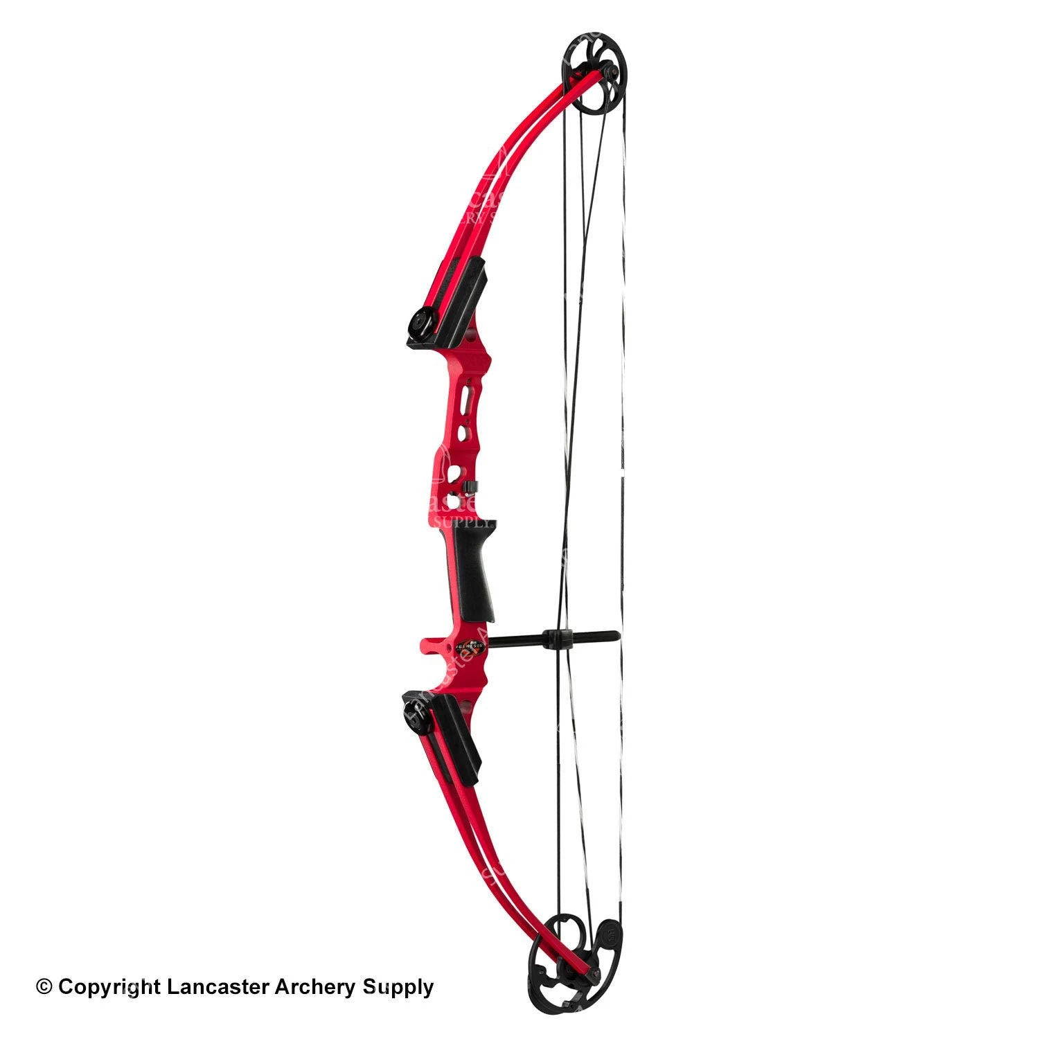 Genesis® Archery Genesis Archery Mini Genesis Bow (Colors) 2 Genesis® Archery Genesis Archery Mini Genesis Bow (Colors)