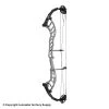 2021 Hoyt Altus 38 Compound Target Bow DCX Cam (Clearance X1033079) -Lancasterarchery Shop 2561104 gray d760141e f79a 428d a302 0b387a57d0a7